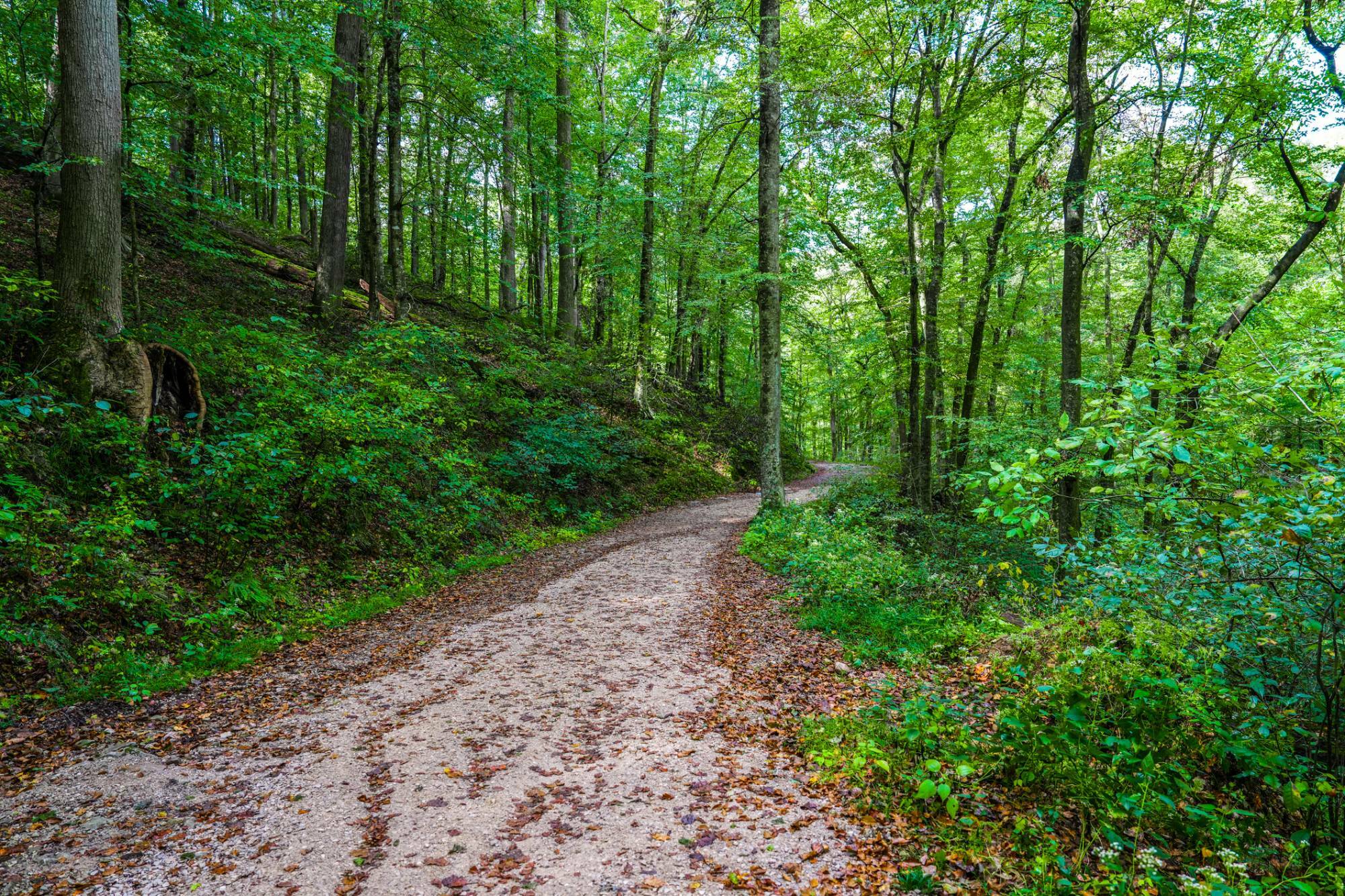 Title and Closing Considerations for Land Purchases in Kentucky