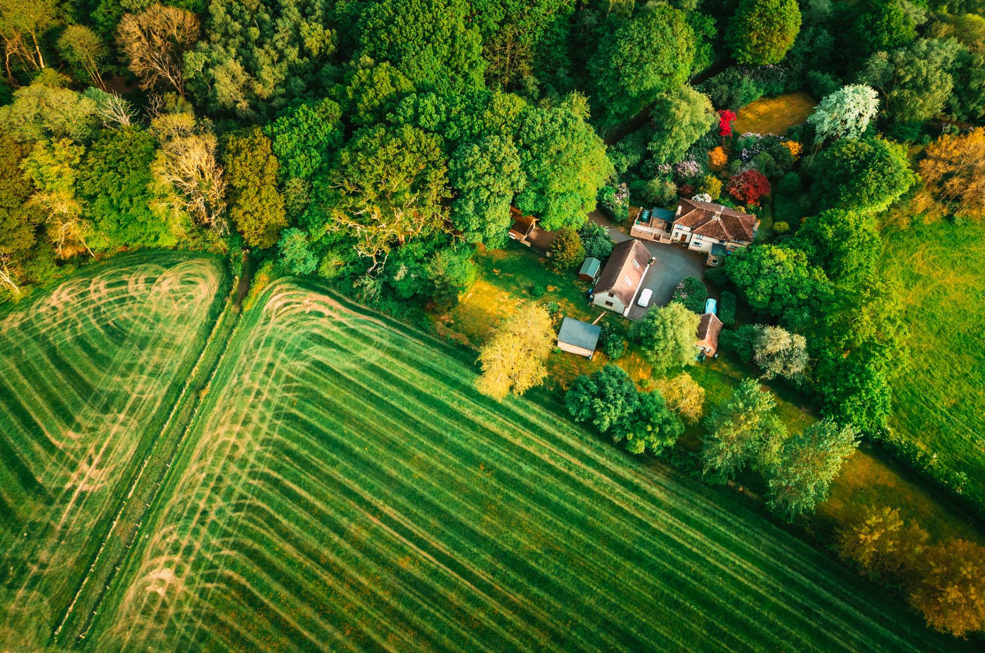 What Agents Should Know About Property Surveys